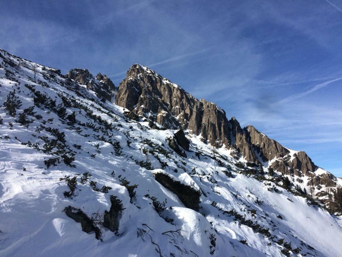 Апартаменты La Finestra Sulle Dolomiti - The Window To The Dolomites Фьера-ди-Примьеро Экстерьер фото